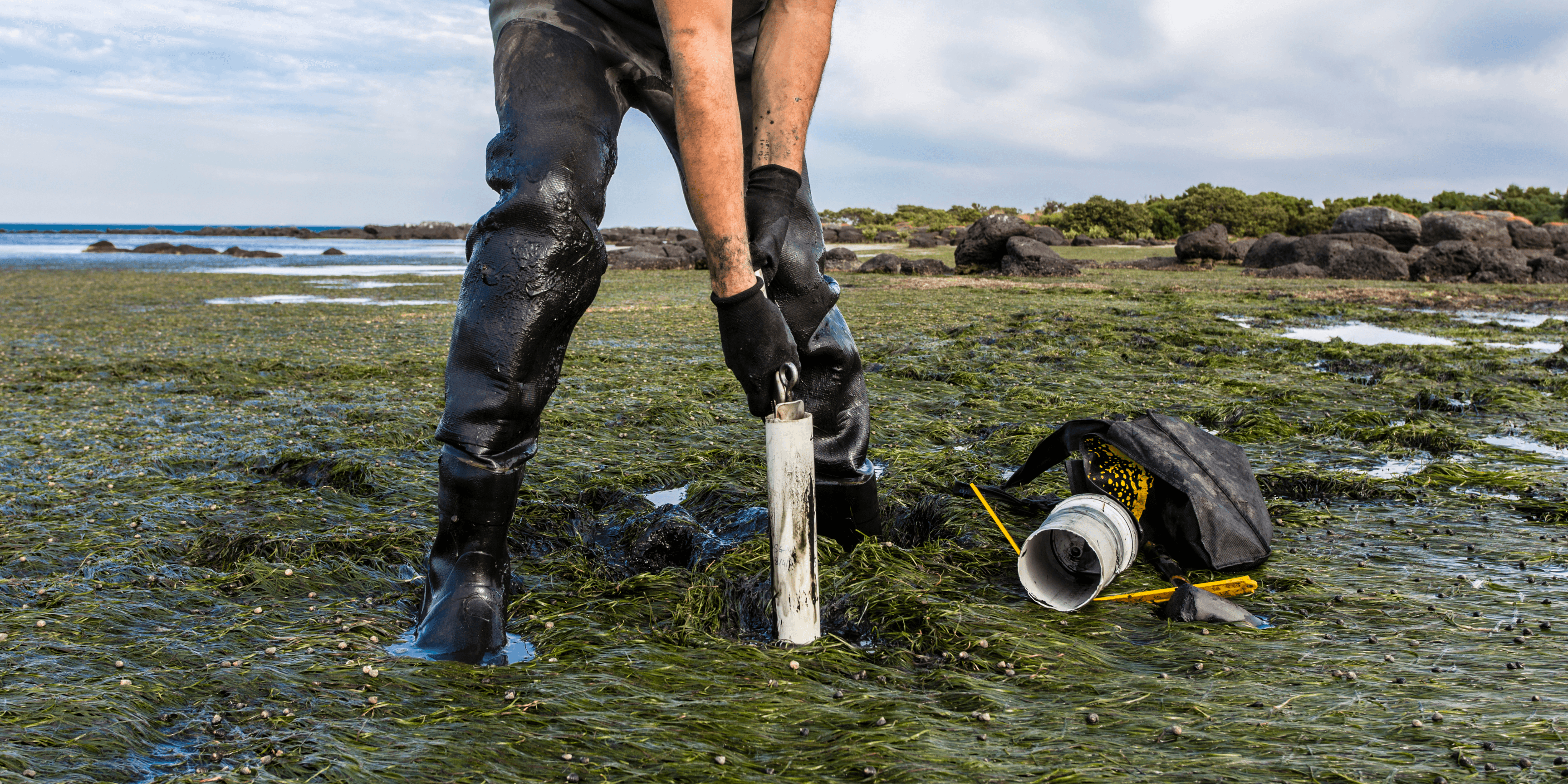 Carbon Sequestration: The Costly Challenge of Capturing and Storing Carbon - pitod.pro