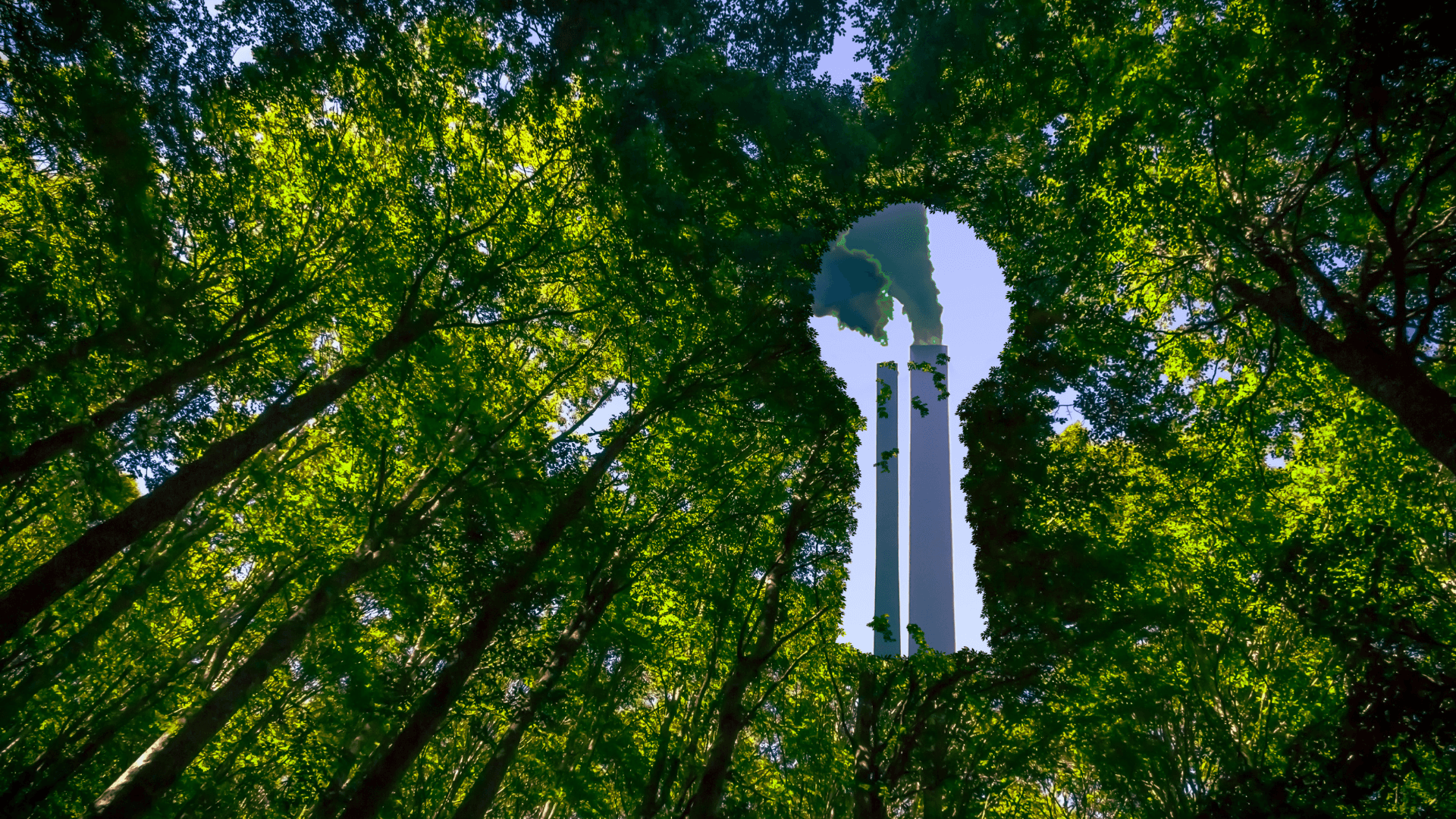 What is Greenwashing? - pitod.pro